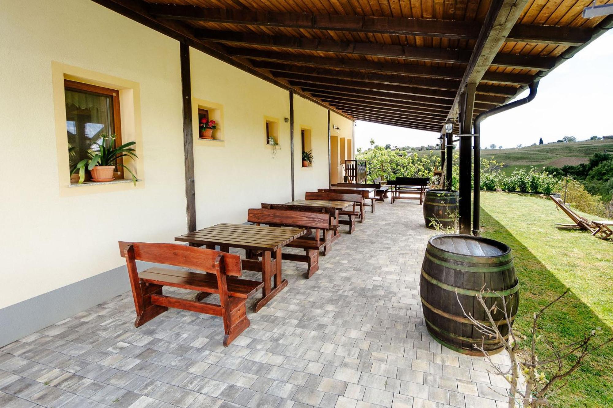 Zelena Oaza - B&B Miklavz pri Ormozu Buitenkant foto